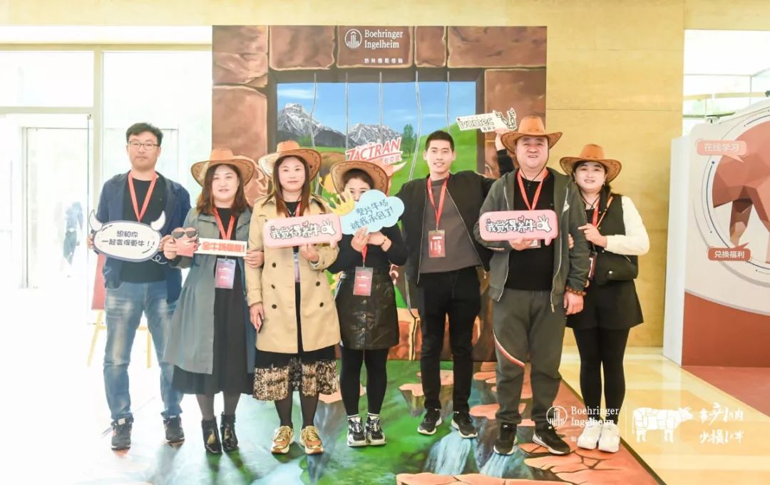 这一次，风口上站的是肉牛