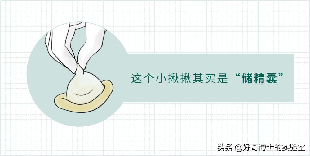 你对避孕套根本一无所知