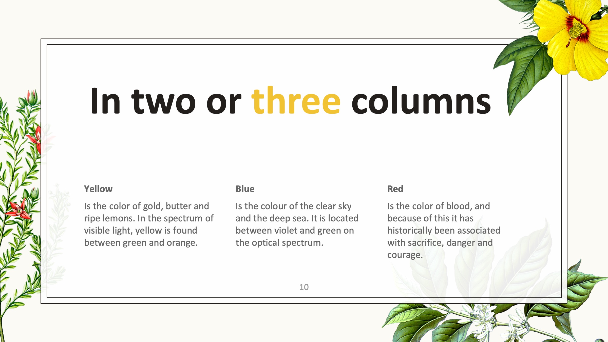 PPT植物插图模板——可免费*载下**，一键替换文字