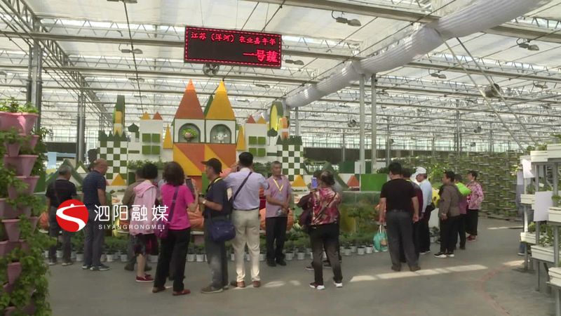 榄呭姏娲嬫渤閰掍埂,榄呭姏閰掍埂娲嬫渤