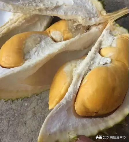 托曼尼猫山王榴莲价格,泰国托曼尼榴莲和猫山王区别