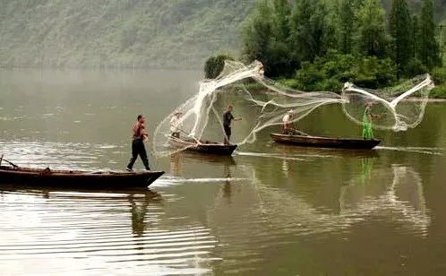 黄陂滠水钓鱼,黄陂前川滠水