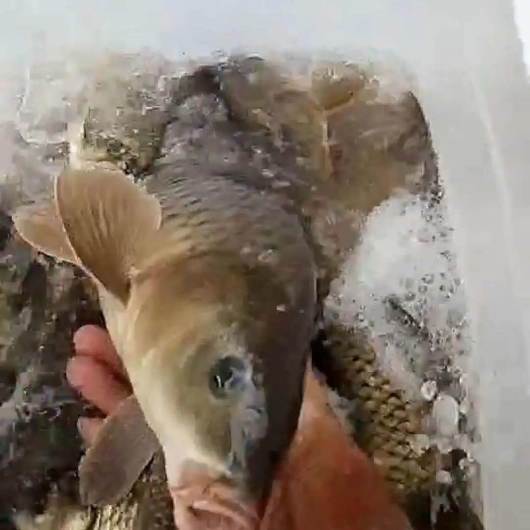 人人人人人众……五一假期水库爆满！来看渔情究竟如何