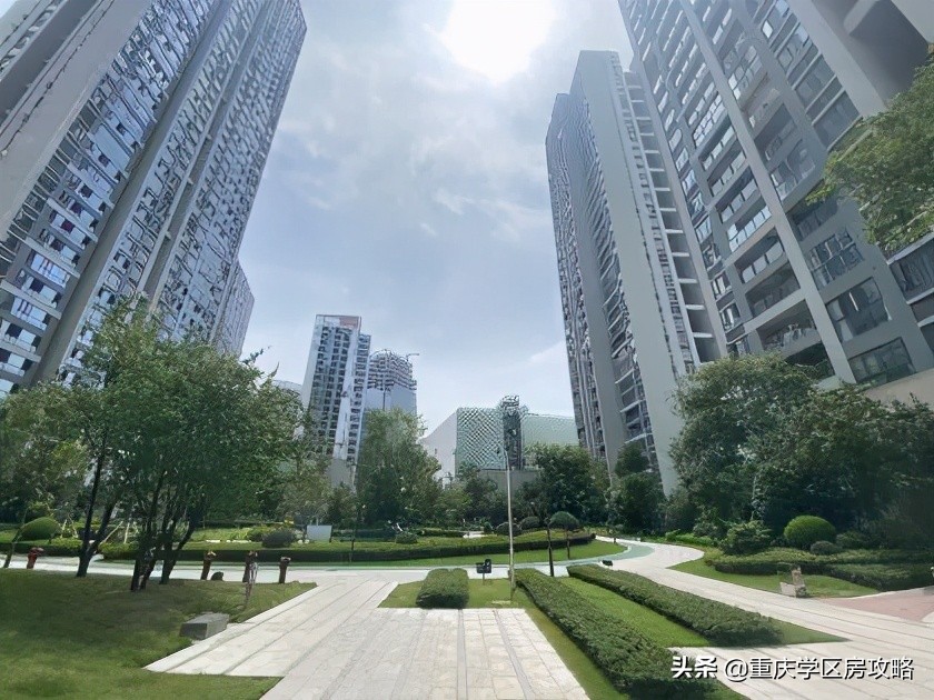 照母山的重点中学,照母山优质学区