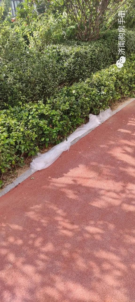 济南碧桂园凤凰城最新房价,济南碧桂园最新的情况