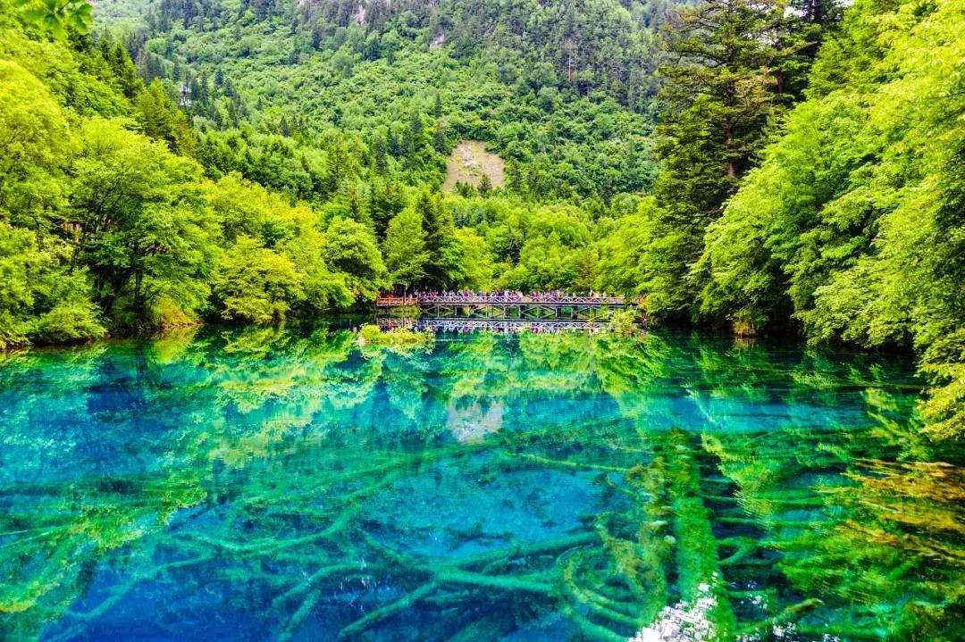 g228沿海公路自驾游路线,g214自驾游最佳线路图