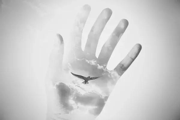 量能萎缩反弹了吗,量能萎缩到极致是大转折的征兆