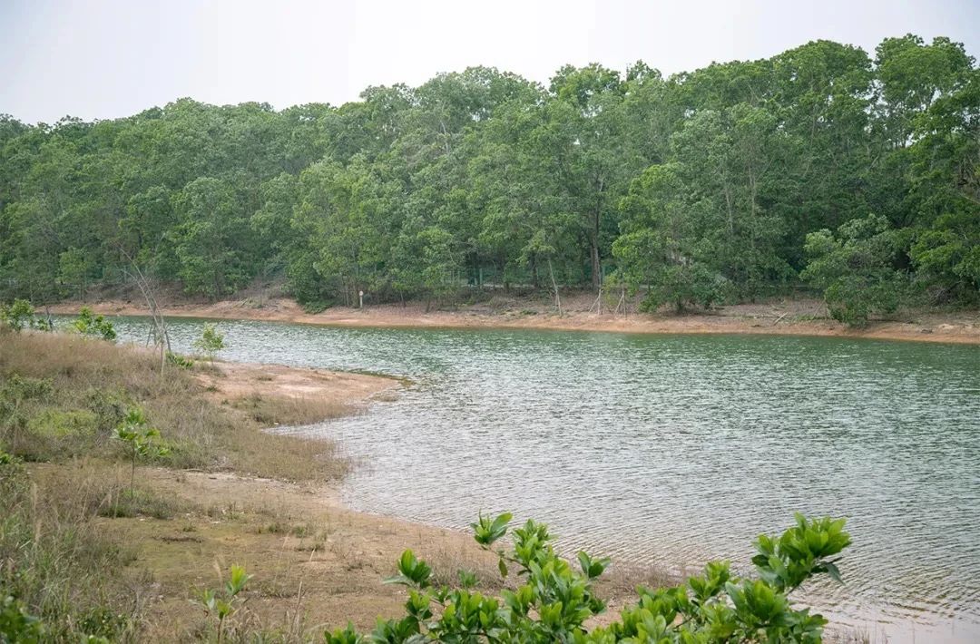 深圳周末浪漫好去处,深圳浪漫约会地点十个景点