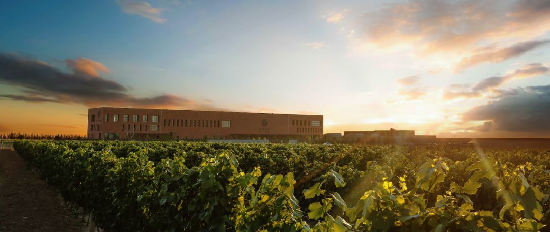 宁夏长和翡翠酒庄有限公司,贺兰山东麓长和翡翠酒庄