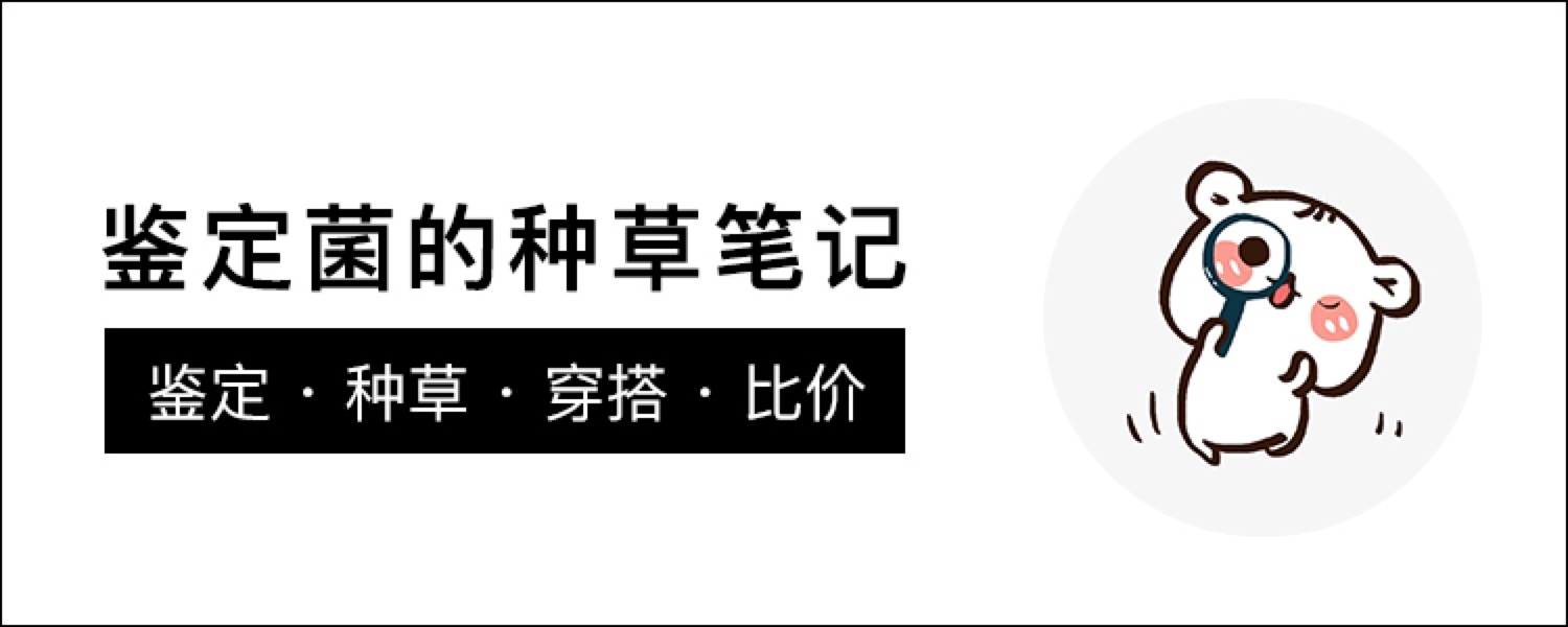 如何辨别mk内标真假,怎么分辨真假mks
