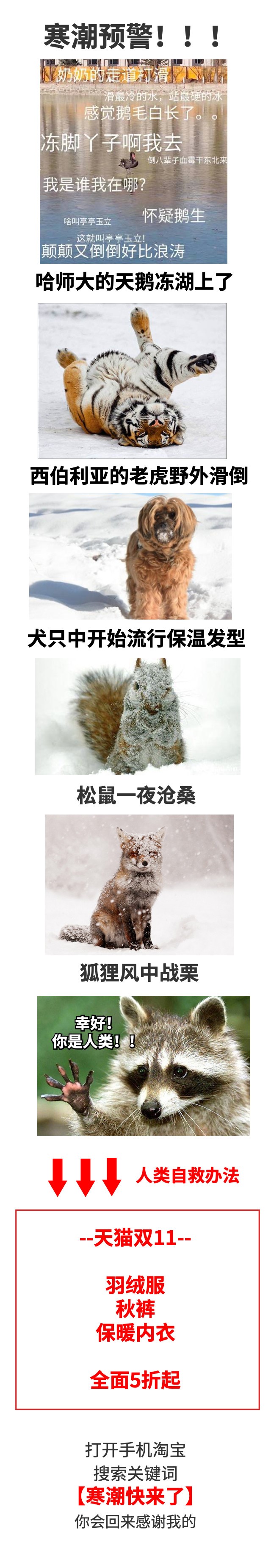 寒流来袭羽绒服持续热卖,羽绒服双11便宜0.28元