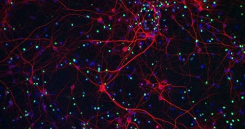 达摩院2023十大科技趋势附pdf下载,如何看待达摩院2020十大科技趋势