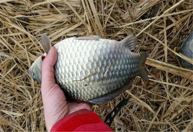 冬季抛竿钓鲫鱼自制钩组,海竿钓小鲫鱼绝密配方