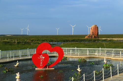 南通梭子蟹特产,江苏南通港梭子蟹