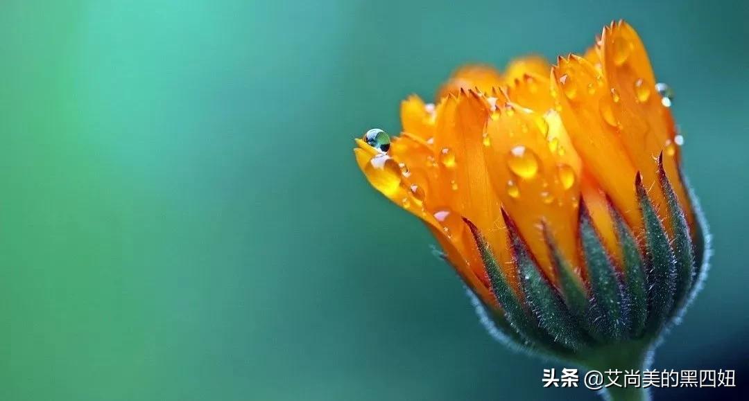 微商化妆品销售话术经典语句 (化妆品直播话术技巧开场白)