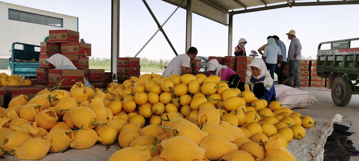 2023中国品牌价值评价信息榜,最畅销品牌喜报