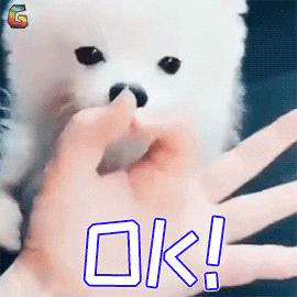 小“李敏镐”来咿呀口腔种牙了！