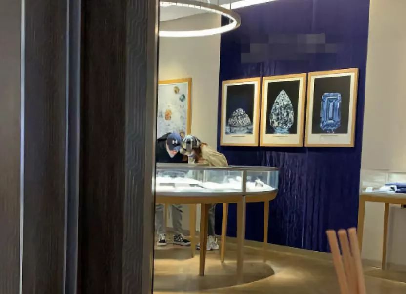 张亮受伤事件后续,张亮事件后续处理结果