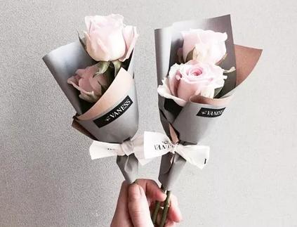 入境加拿大海关违禁物品,加拿大海关禁止带入的物品有什么