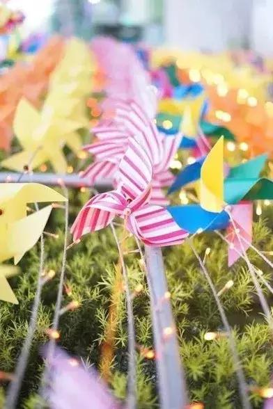 荷兰郁金香花海,不出北京游世界