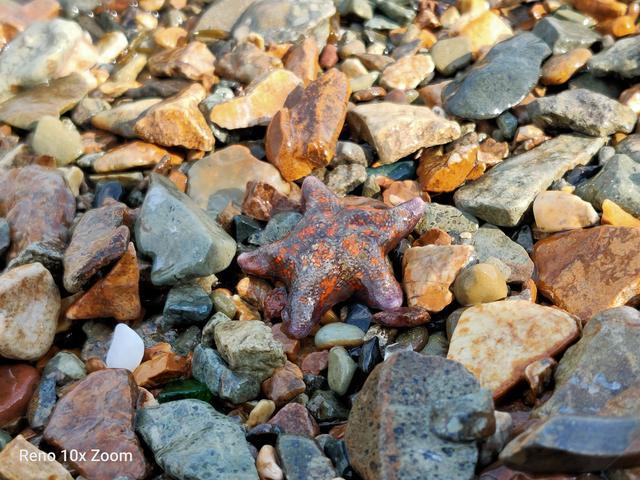 opporeno10倍变焦版使用体验,opporeno10倍变焦版上手体验