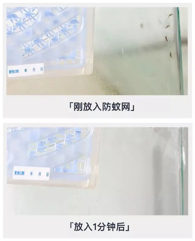 日本折叠蚊帐家用2022新款免安装,秒杀夏季防蚊折叠蚊帐