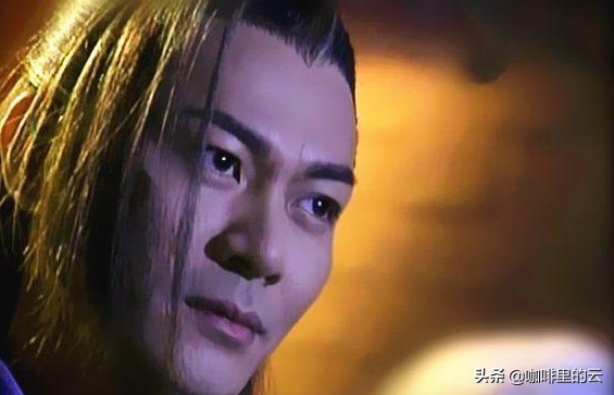 碧血剑夏雪宜温仪,碧血剑夏雪宜武功被废