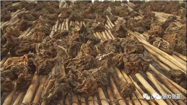 45万奈曼人的名片，太漂亮了！除了中华麦饭石你还知多少？