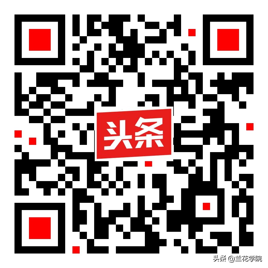 兰花莲瓣兰花好月圆,兰花鉴赏莲瓣兰五朵金花