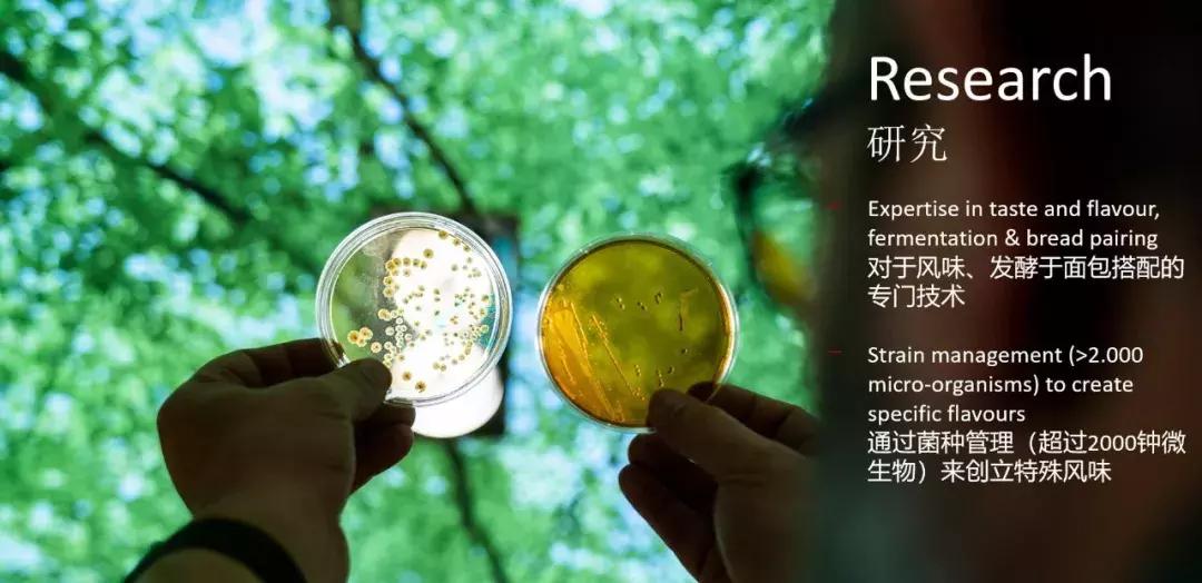 六国面包师的华山论剑,烘焙人最感兴趣的技术秘诀、开店运营