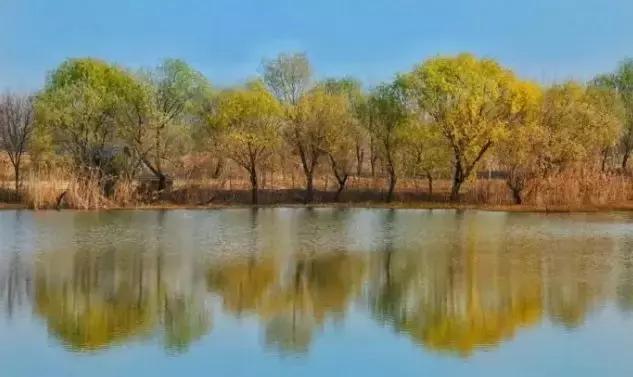 扬州西湖美如仙境,扬州西湖小镇美景