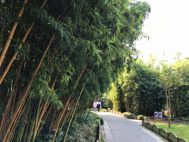 #全民热遗#扬州个园，“中国四大名园”，小园子却藏四季