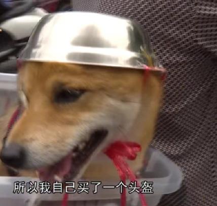 外卖龙虾段子搞笑,外卖的虾是不是都是冻虾