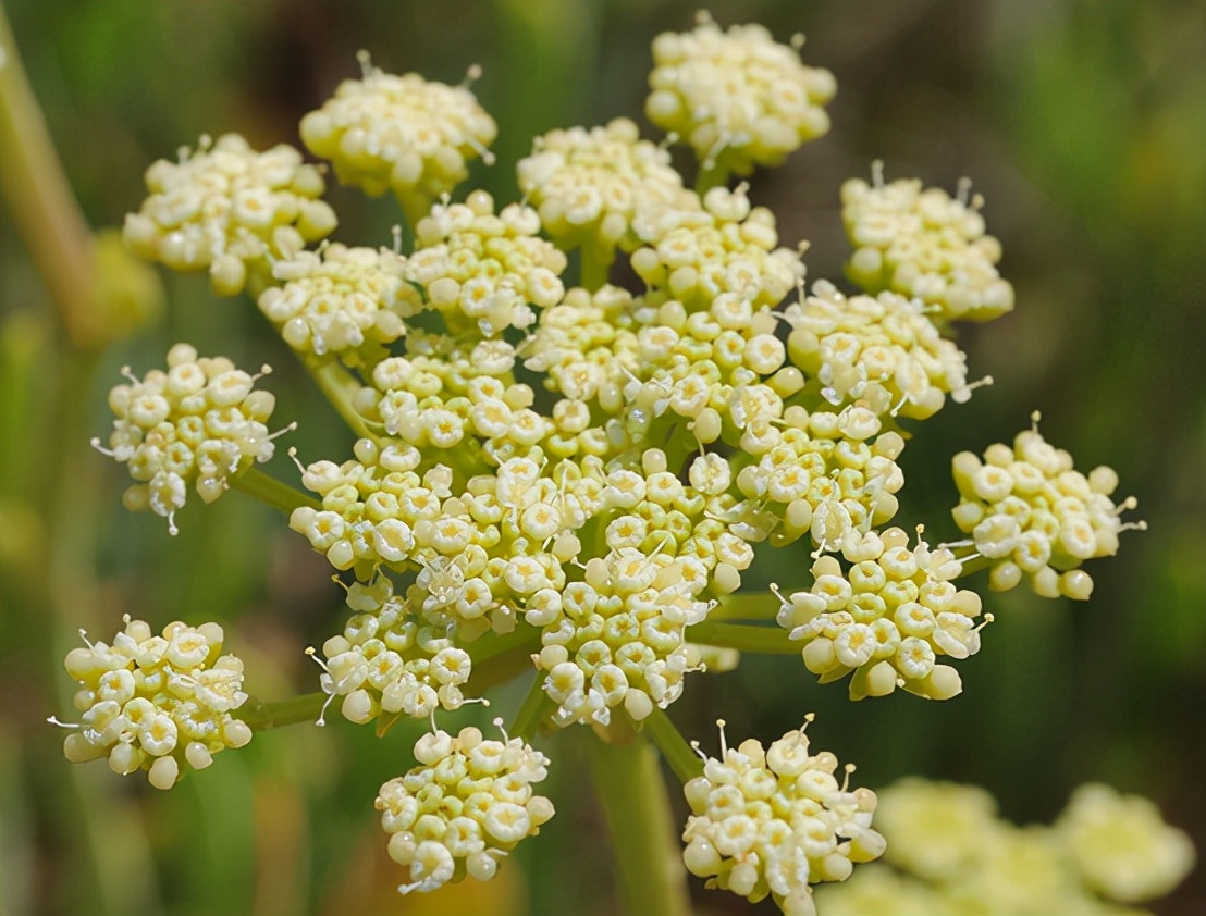 混油皮保湿平衡水,混合油皮适合的护肤品青少年