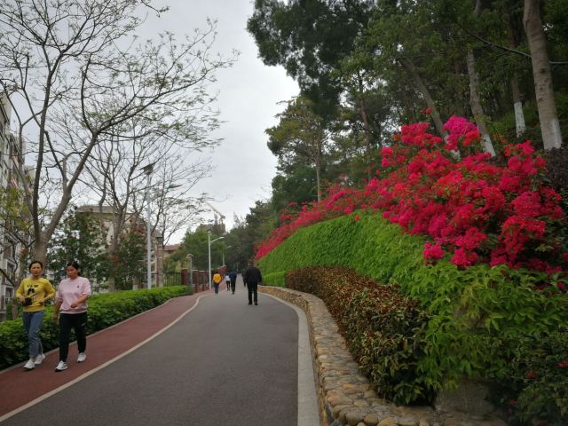 厦门金尚片区房价,金山片区最新消息