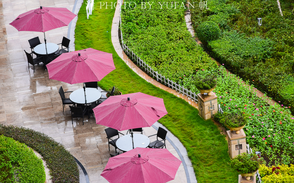 重庆3天2夜就这么玩打卡网红景点,重庆旅游必去的地方网红打卡