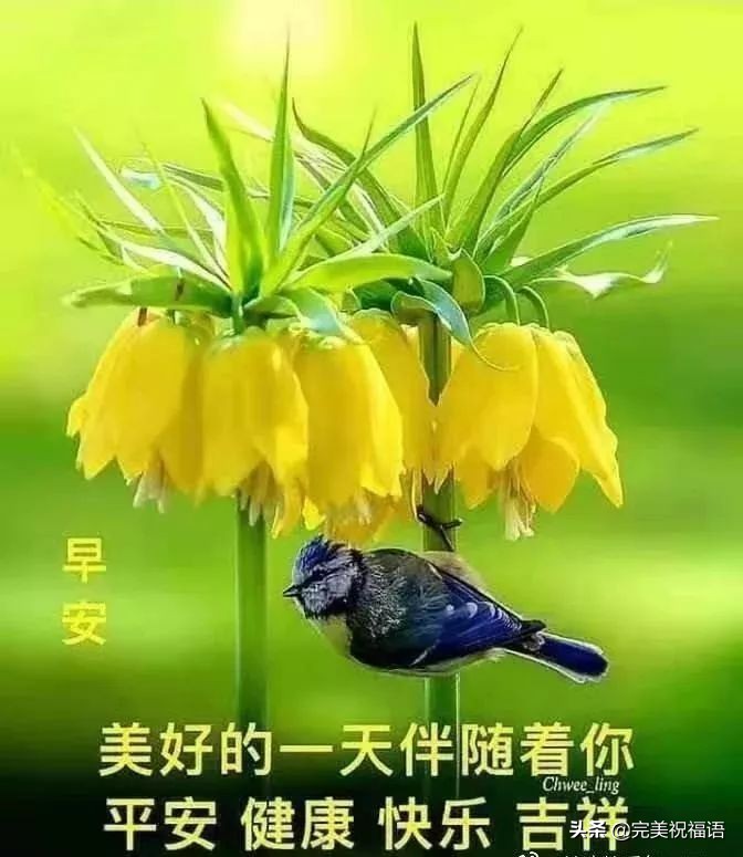早安顺口溜早安祝福语,早安问候语励志正能量早安图片