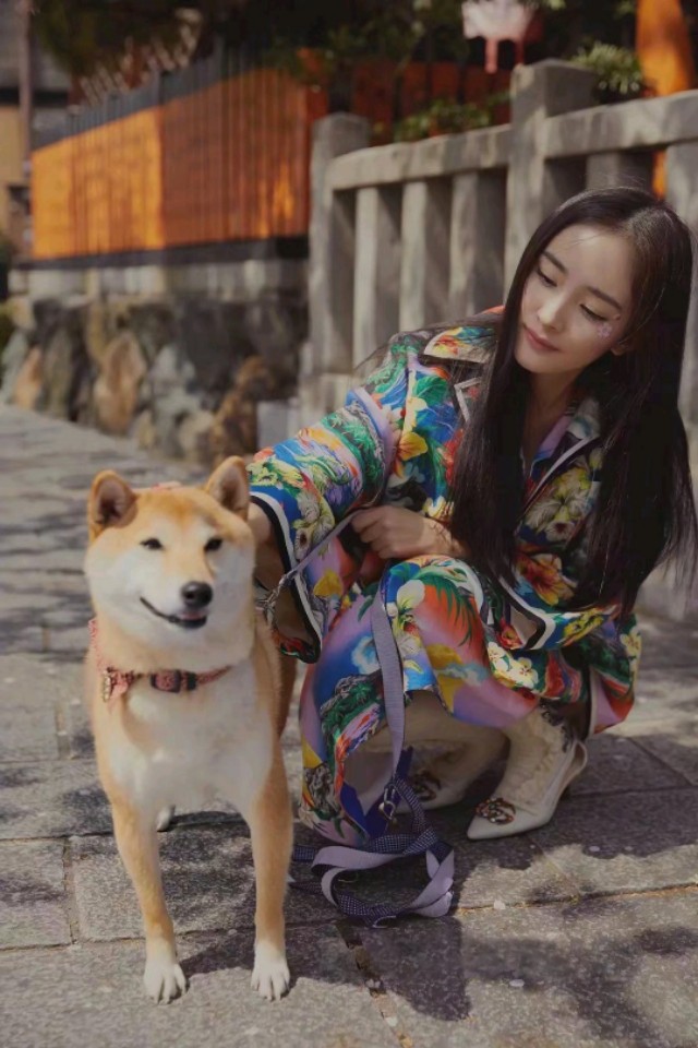 杨幂翻白眼不耐烦,杨幂眼神慌张采访