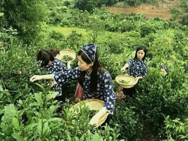 惠州女性戳这里！这里有一笔资金助力你的梦想