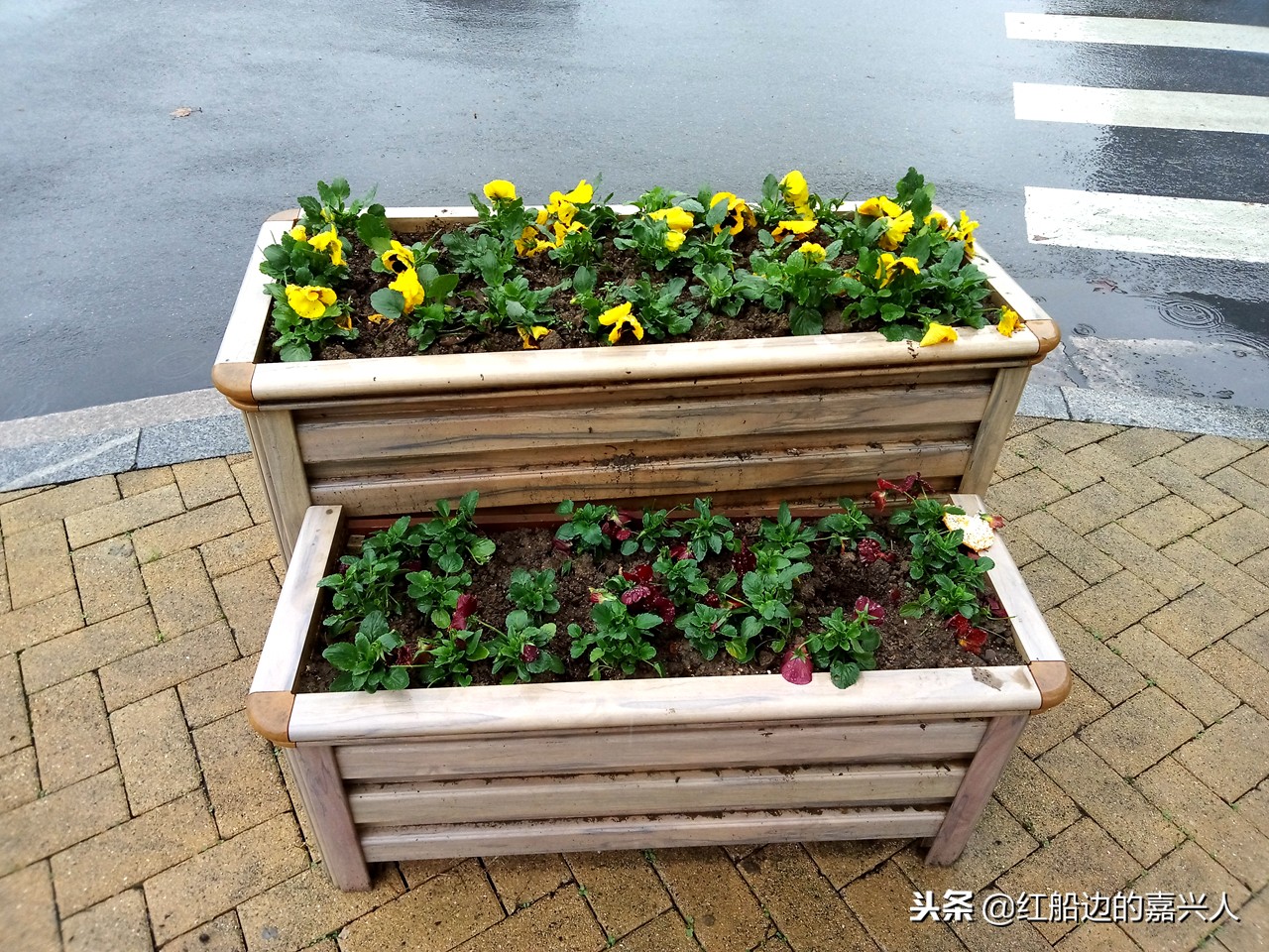 破壁机进水之后自己转,魅蓝手机变砖