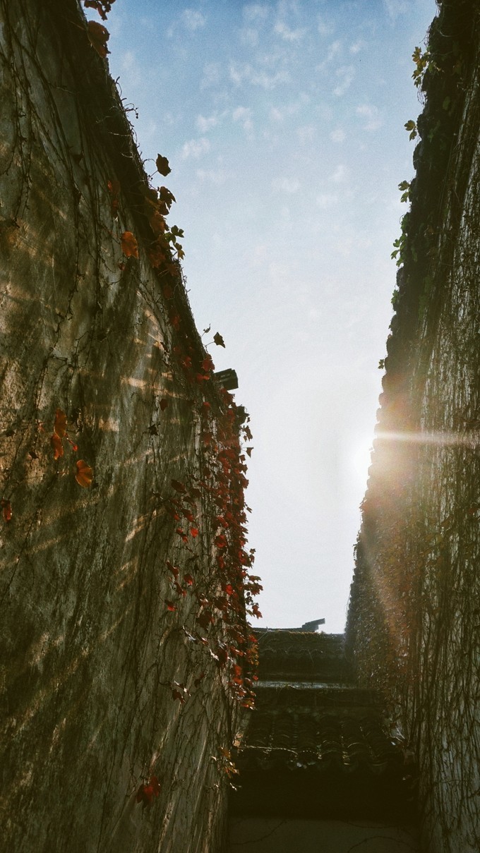 杭州西湖乌镇苏州南京上海攻略,天青色等烟雨乌镇旅游