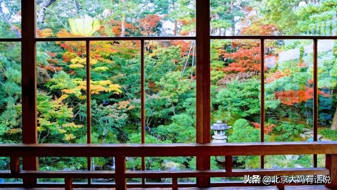 年度十佳微小说感言,十大经典微小说推荐