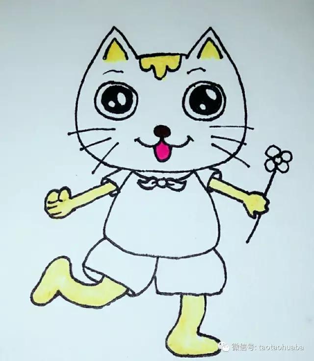 我是可爱小猫咪视频,我是一只可爱的小猫咪