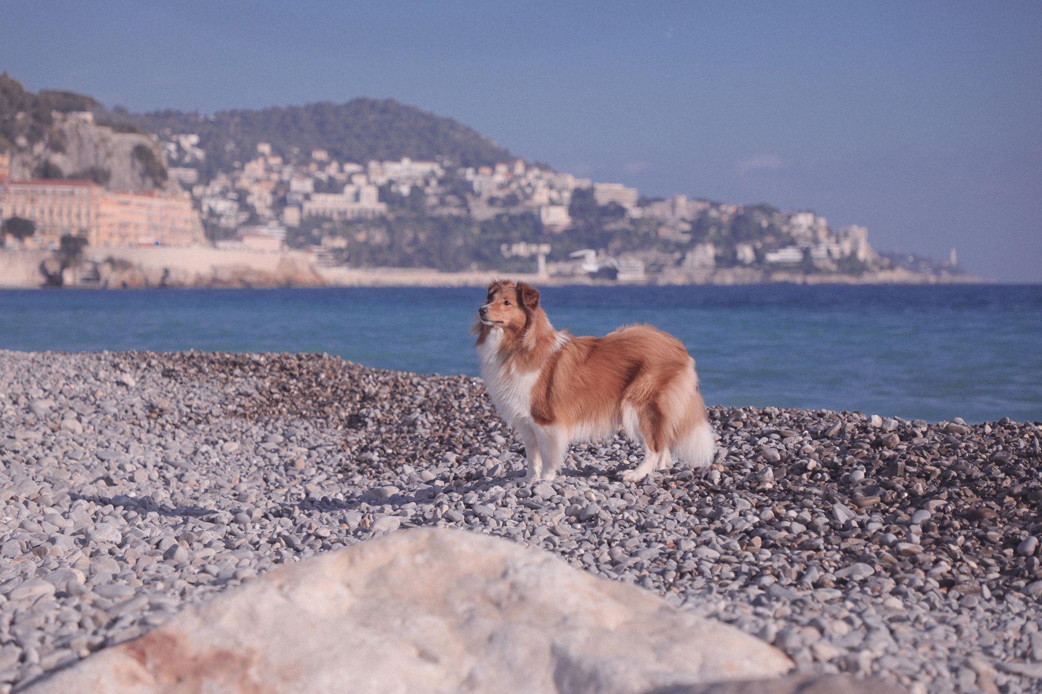穿着徒步鞋去和爸爸爬山,merrel登山鞋男