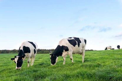 奶粉哪个牌子好又安全含乳铁蛋白,婴儿奶粉乳铁蛋白排行榜第一名