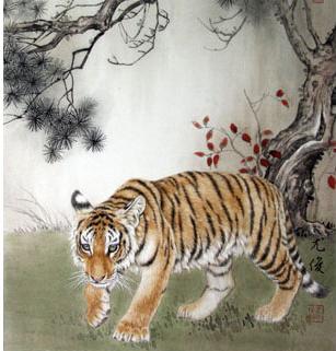 十二生肖是怎么排序的视频,十二生肖到底是怎么排序的