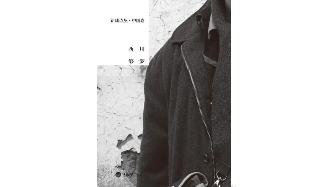 十个小镇青年，就能干掉一个莎士比亚|专访诗人西川