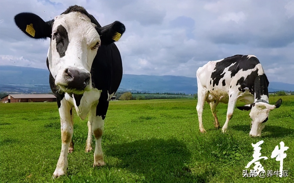 繁殖育种技术的发展与应用
