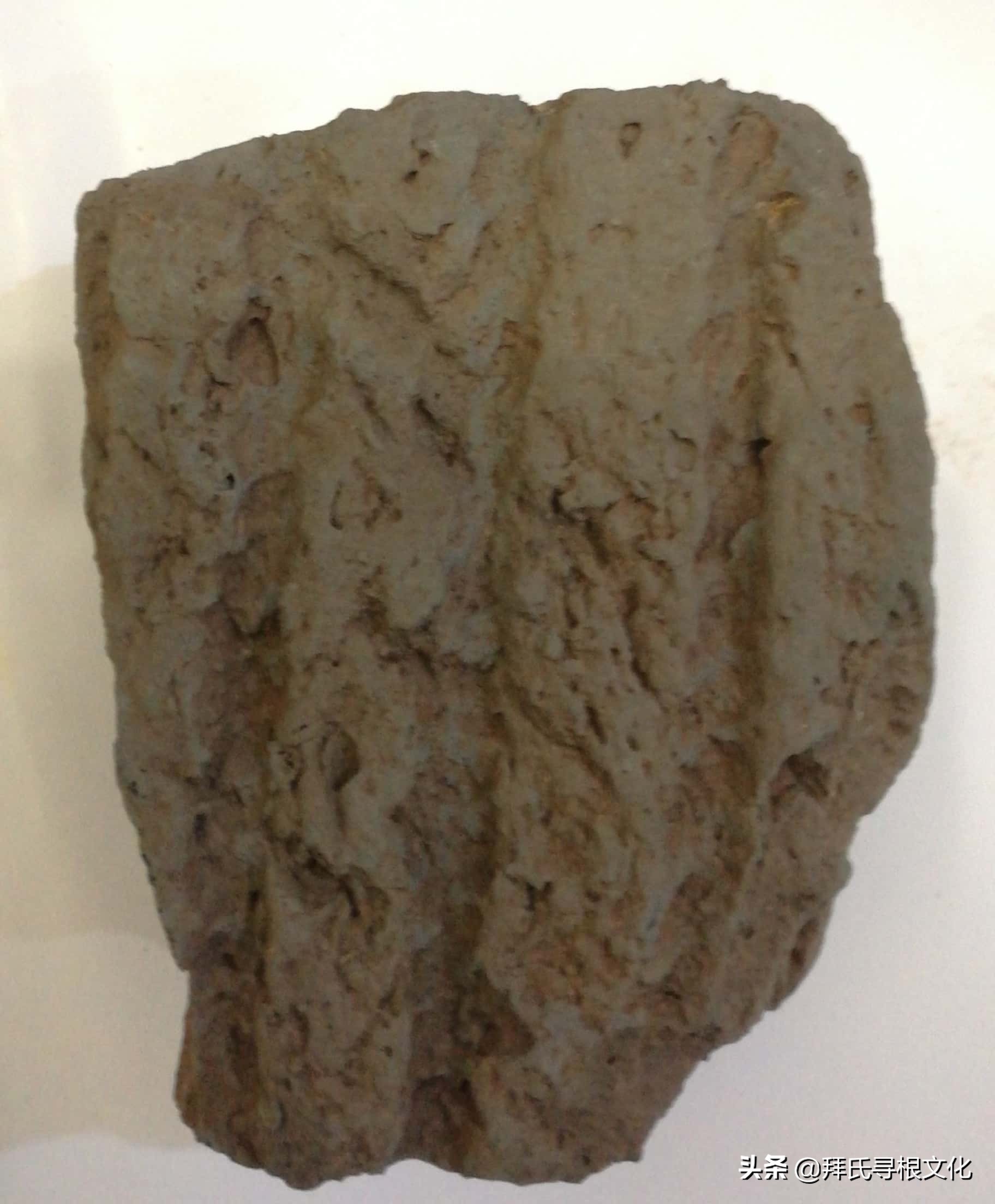 老家林场拜家城址怀古