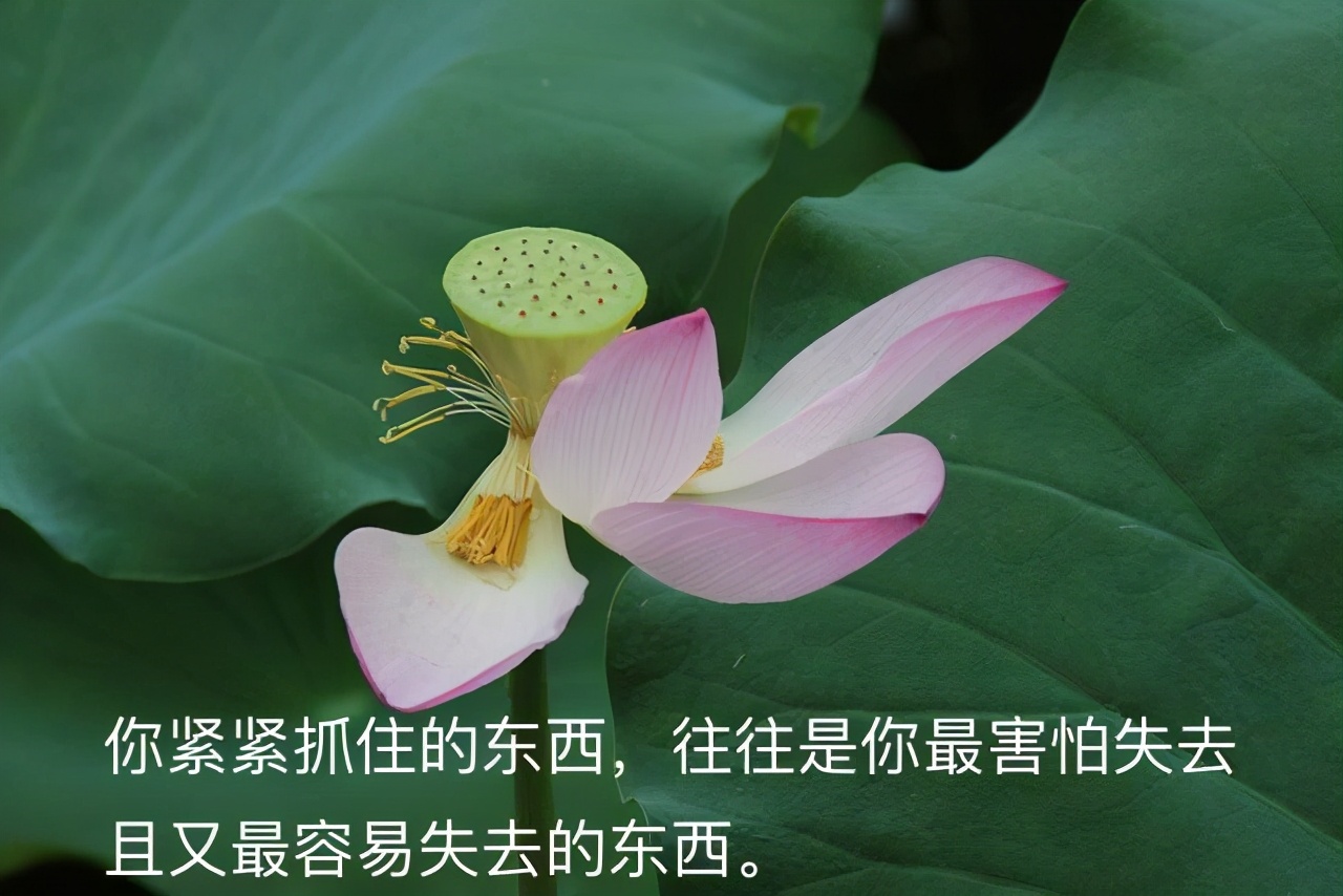 心中的神明,心中的神明作文